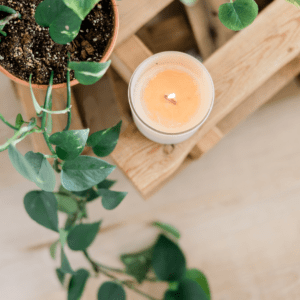 A calming scene featuring a green plant and a lit candle, symbolizing relaxation and mindfulness, often encouraged during ADHD therapy sessions in Wilmington, NC